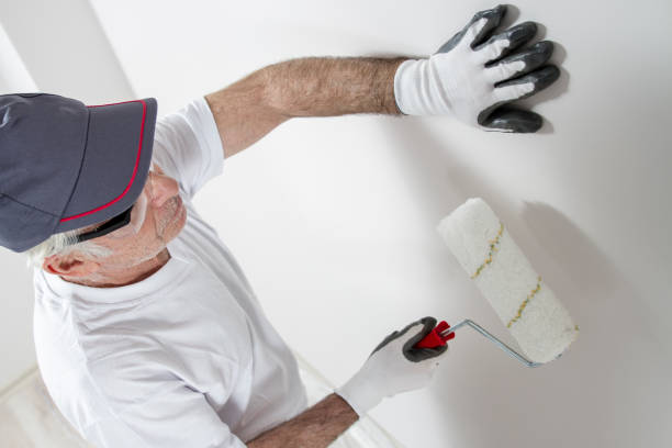 Best Black Mold Removal  in Hillsboro Beach, FL