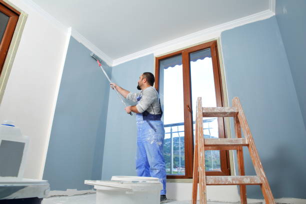 Best Industrial Mold Remediation  in Hillsboro Beach, FL