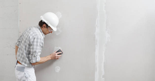  Hillsboro Beach, FL Mold Removal Pros