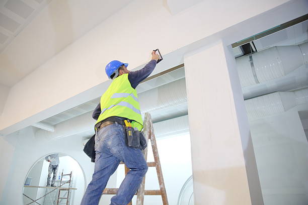 Biohazard Mold Removal in Hillsboro Beach, FL