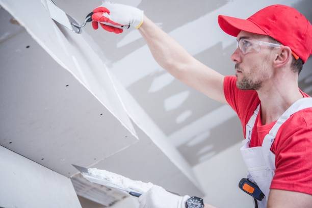 Best Biohazard Mold Removal  in Hillsboro Beach, FL